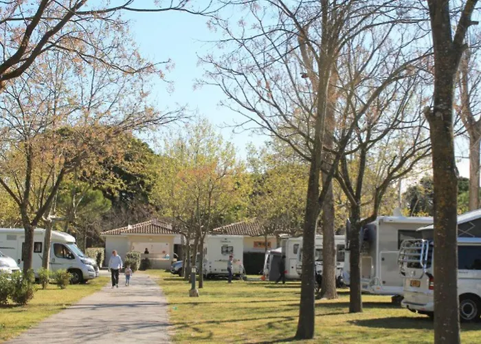 Mobil 4 Pers Avec Terrasse A Grande-motte - Api-1-52-1431 Kemp